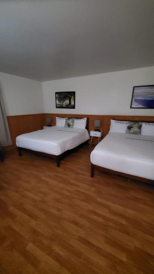 Hotel Fleurs Karaibes Saint-Alexandre-de-Kamouraska Esterno foto