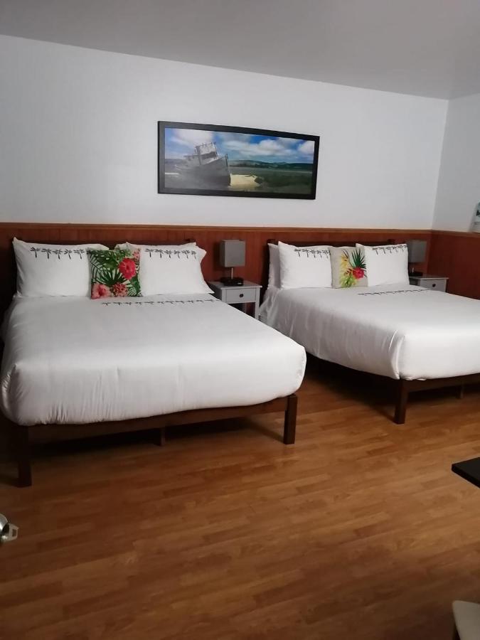 Hotel Fleurs Karaibes Saint-Alexandre-de-Kamouraska Esterno foto