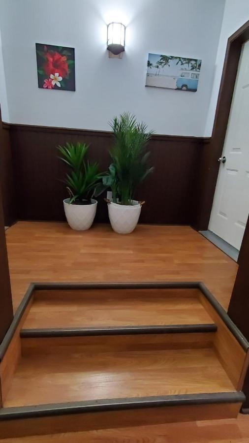 Hotel Fleurs Karaibes Saint-Alexandre-de-Kamouraska Esterno foto