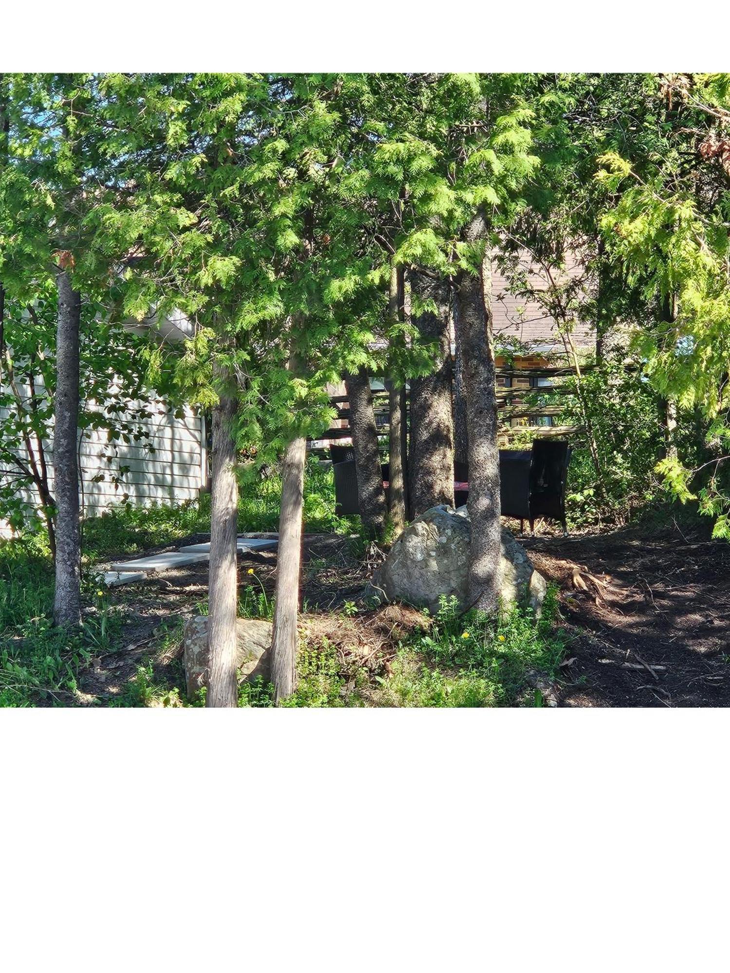 Hotel Fleurs Karaibes Saint-Alexandre-de-Kamouraska Esterno foto